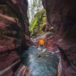 Waterton National Park and Bison Safari Tour with Picnic - How This Tour Offers Good Value