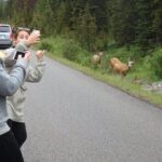 Welcome To Camping At Algonquin Park (2 Day) - Why This Tour is a Great Choice for Wilderness Enthusiasts