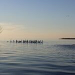 West Islands & Eagle Bluff Lighthouse Cruise - The Sum Up: Who Will Love This Tour?