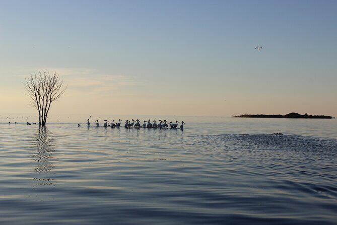 West Islands & Eagle Bluff Lighthouse Cruise - The Sum Up: Who Will Love This Tour?