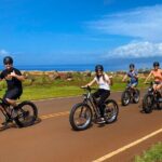 West Maui Electric Bike Rentals - Why Choose West Maui Electric Bike Rentals?