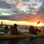 West Seattle Sunset Sea Kayak Tour - Authentic Experiences from Fellow Travelers