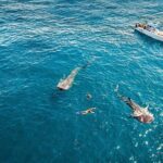 Whale Shark Adventure - Why Travelers Love This Tour