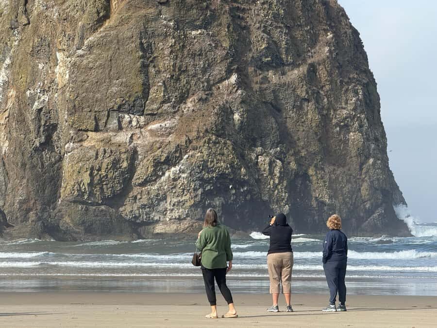 Whale Watching Tour to Depoe Bay, Cannon Beach & Tillamook - Practical Details and Value
