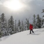 Whistler Backcountry Skiing and Splitboarding - Additional Insights from Reviews