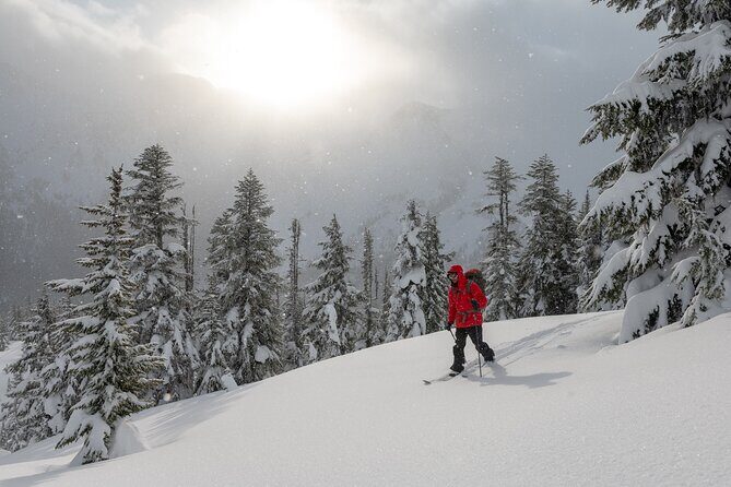 Whistler Backcountry Skiing and Splitboarding - Additional Insights from Reviews
