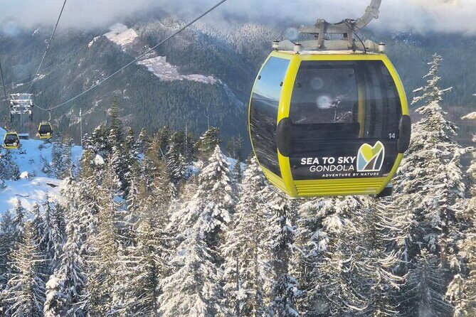 Whistler Sea 2 Sky Gondola, Shannon Falls Small Group Max 12 Tour - Why This Tour Stands Out