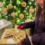 White House National Christmas Tree & Holiday Light Bus Tour - What’s Included & Practical Details