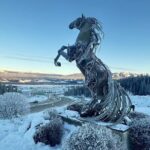 Whitehorse 3 Day Aurora Tour Wildlife Preserve and Hot Springs - Frequently Asked Questions