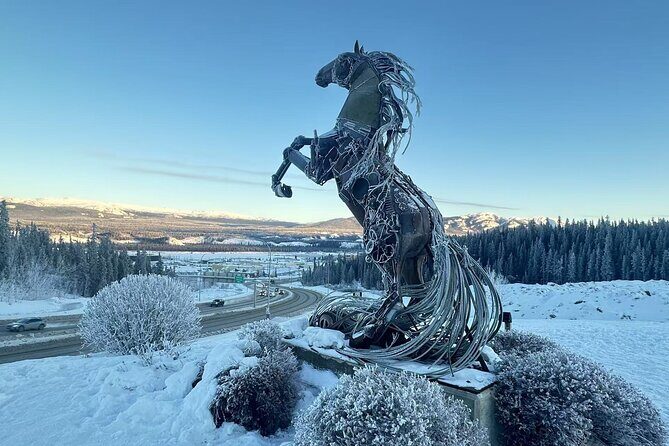 Whitehorse 3 Day Aurora Tour Wildlife Preserve and Hot Springs - Frequently Asked Questions