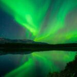 Whitehorse 4 Day Aurora Tour Wildlife Preserve and Hot Springs - The Value of This Tour
