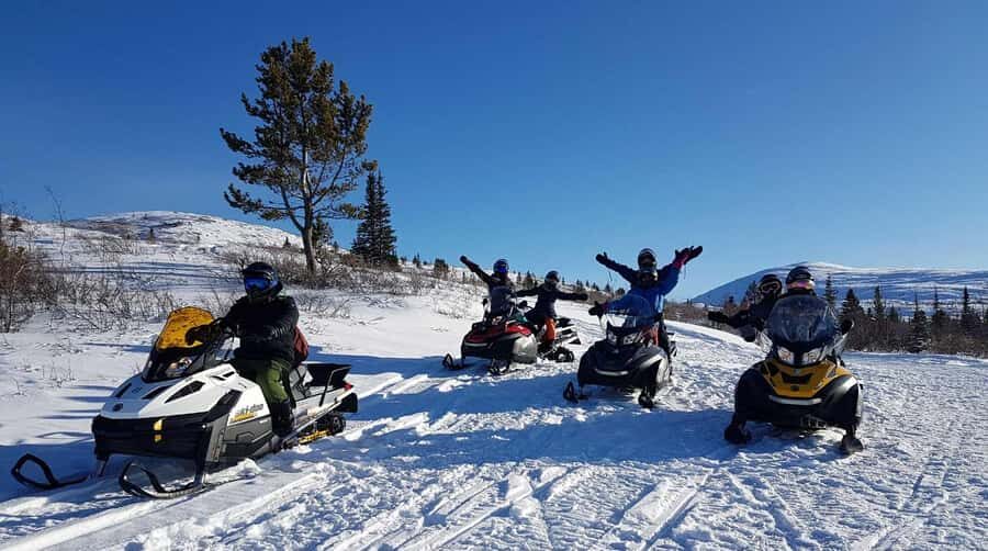 Whitehorse: Snowmobile Tour on the Dawson Overland Trail - Who Will Love This Tour