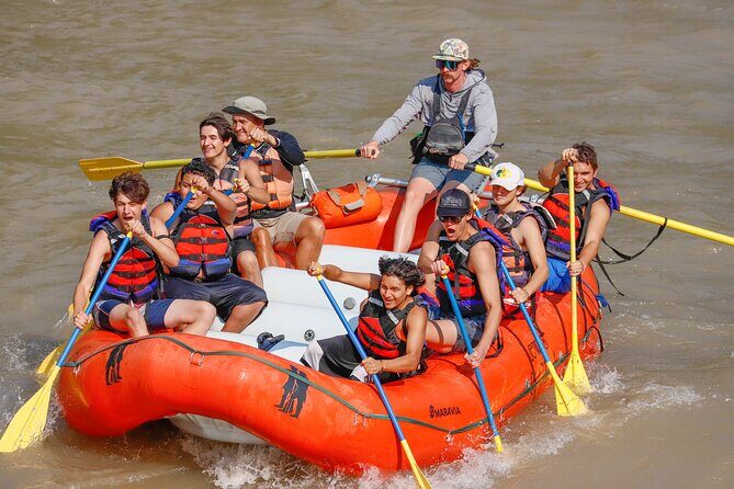 Whitewater Rafting, Jackson Hole - Family Friendly Classic Raft - What Sets This Tour Apart?