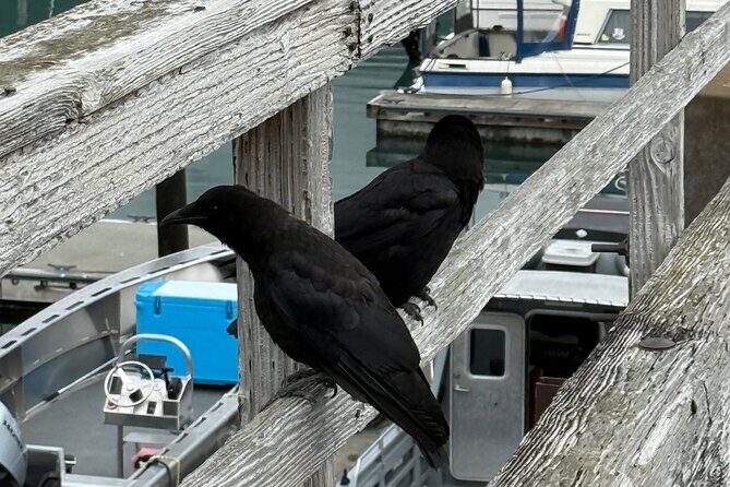 Whittier Drive and Coastal Alaska Full Day Adventure - Why This Tour Stands Out