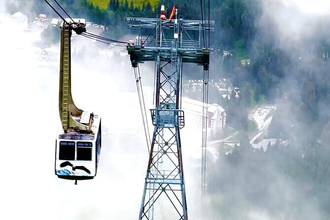 Whittier to Anchorage Cruise Transfer Wildlife Center and Tram - Why This Tour Adds Value to Your Alaska Visit