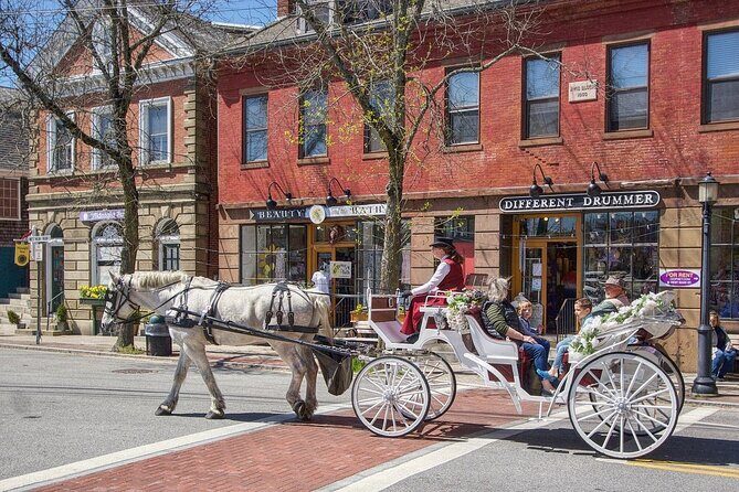 Wickford Horse Drawn Carriage Ride - Why You Should Consider This Experience