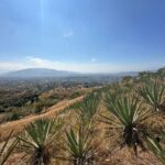 Wild Agaves Hiking Experience in Oaxaca - Who Will Love This Tour?