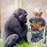 Wilder Institute/Calgary Zoo Entry Ticket - A Detailed Look at the Calgary Zoo Experience