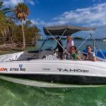 Wildlife Boat Tour & Racoon Island - An In-Depth Look at the Raccoon Island Wildlife Boat Tour