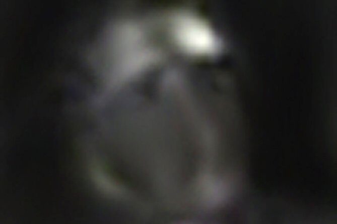 Williamsburg East Ghost Tour - An In-Depth Look at Williamsburg East Ghost Tour