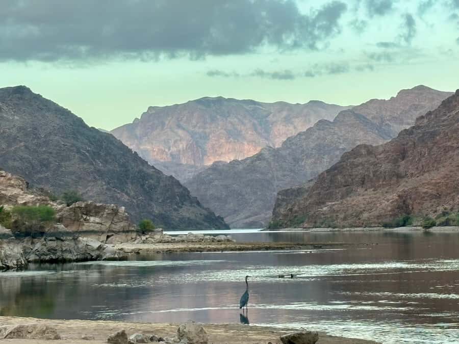 Willow Beach: Emerald Cave Kayak Tour & Optional Canyon Hike - The Itinerary Breakdown