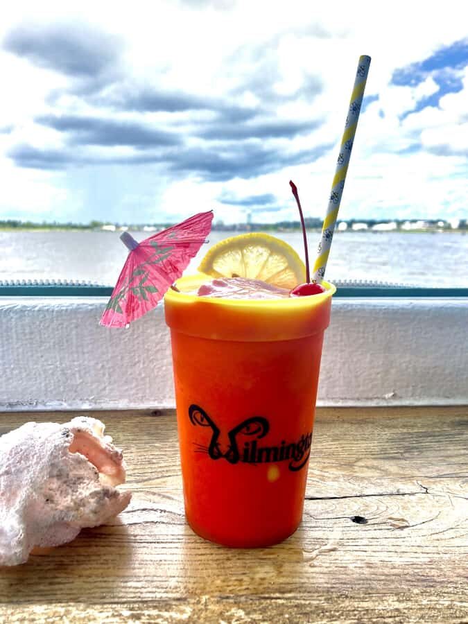 Wilmington, NC: Sunset Cruise Boat Tour on Cape Fear River - Practical Tips for Your Sunset Cruise