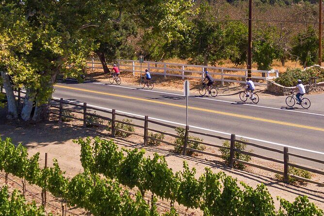 Wine Country Farm to Table Bike Tour w/Lunch - Exploring Santa Barbara’s Wine Country by Bike