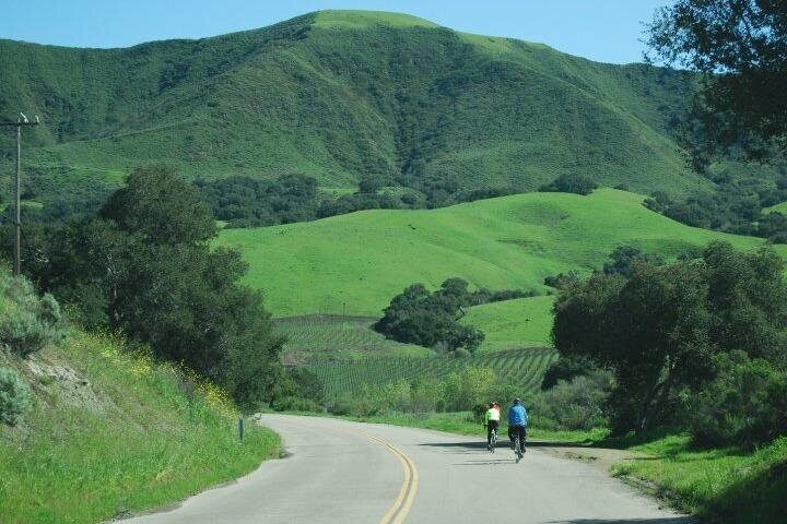 Wine Country Half-Day Bike Tour from Solvang - w/o Lunch - Considerations and Practical Tips