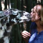 Wine Tasting with Llamas, Alpacas and Guanacos - Key Points