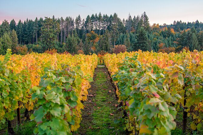 Wine Tour at Ardiri Winery Private Walking Experience - Final Thoughts