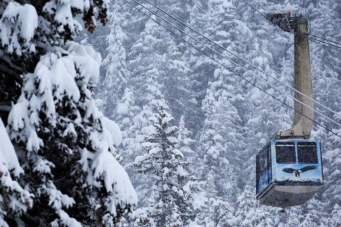 Winter - Alaska Wildlife Center with Alyeska Tram - Who This Tour Is Best For