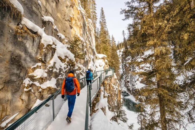 Winter Hikes, Gondolas, and Banff Day Trip - An In-Depth Look at the Tour Experience
