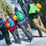 Winter Ice Canyoneering Adventure (Beginner) - Half Day - Setting the Scene: What to Expect on the Tour