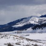 Winter in Yellowstone Wildlife Tour - Frequently Asked Questions