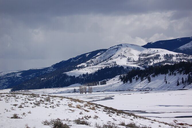 Winter in Yellowstone Wildlife Tour - Frequently Asked Questions