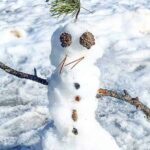 Winter on the Rocks with S'mores (Wildside 4x4 Tours) - The Off-Road Thrills