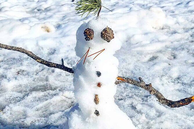 Winter on the Rocks with S'mores (Wildside 4x4 Tours) - The Off-Road Thrills