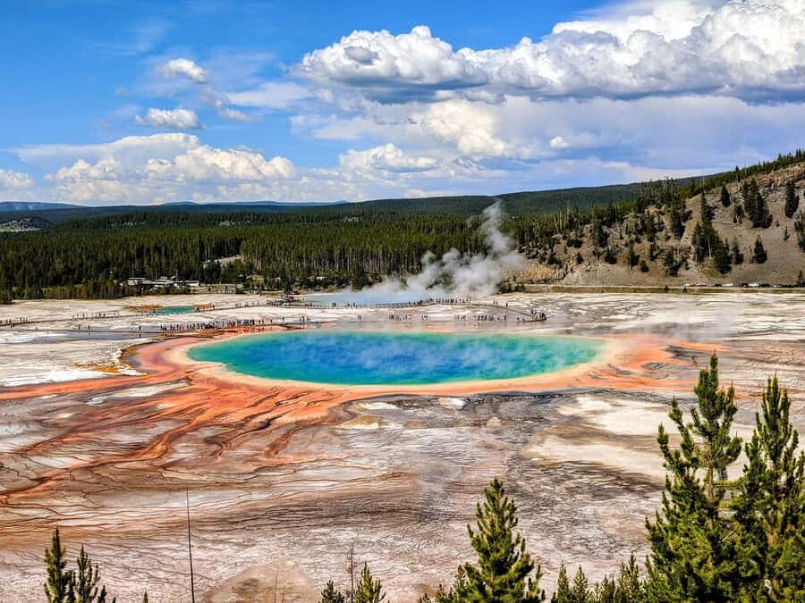 Wonders of Yellowstone: Private Lower Loop Tour with Lunch - The Itinerary Breakdown
