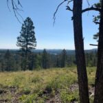 Woodland Park: Snowshoeing Guided Hike - What the Hike Involves