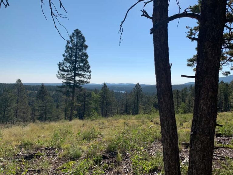 Woodland Park: Snowshoeing Guided Hike - What the Hike Involves