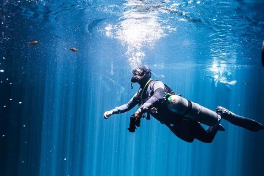 Wreck Dive in Playa del Carmen  Dive Machine Experience - An Honest Look at the Playa del Carmen Wreck Dive Experience