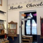 Wrestling Tour Party Heart CDMX - What Travelers Can Expect