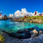 Xcaret Plus Ticket - What Makes Xcaret Plus a Must-Do