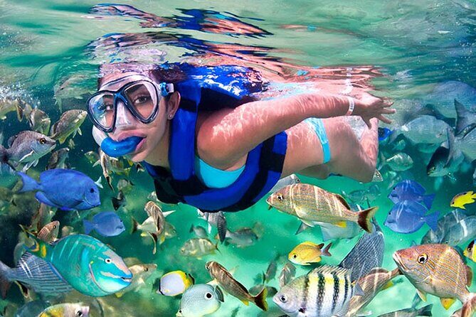 Xelha All Inclusive Family Park - Final Thoughts: Is This Tour for You?