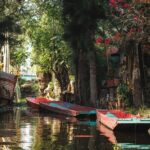 Xochimilco 5 Hour Boat Ride and UNAM University Tour - Final Thoughts: Who Should Book This Tour?