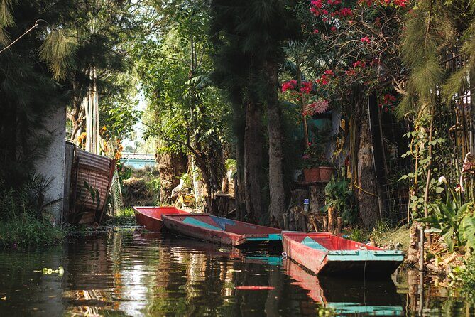 Xochimilco 5 Hour Boat Ride and UNAM University Tour - Final Thoughts: Who Should Book This Tour?