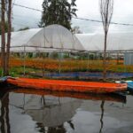 Xochimilco, Coyoacán & Ciudad Universitaria Tour - Who Should Consider This Tour?