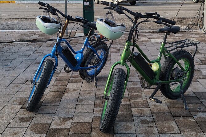 Xtreme Ebike jungle and cenote tour - Exploring the Itinerary in Detail