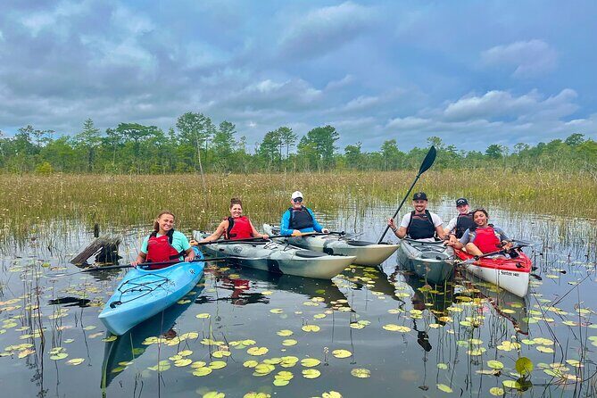 Yellow River Swamp Tour - An In-Depth Look at the Yellow River Swamp Tour