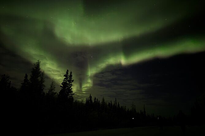 Yellowknife 4 Days 3 Nights Aurora Hunting with Airport Service - Who Should Consider This Tour?